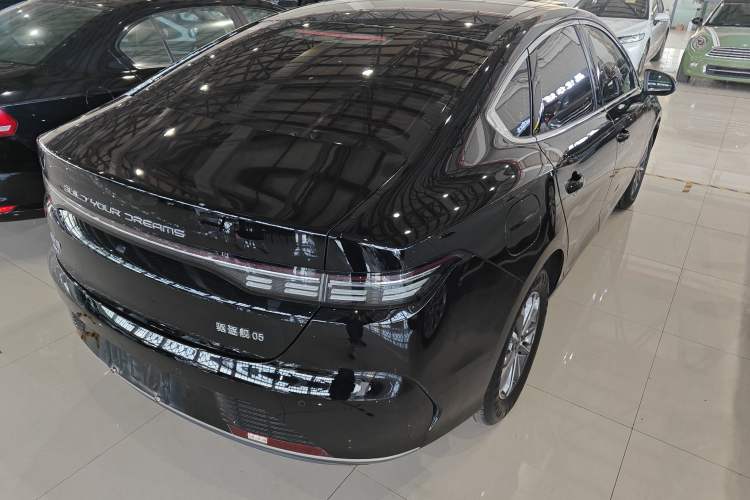 Used BYD Destroyer 05 2024 DM-i 55KM Flagship Glory Edition Rear Right 45 Deg
