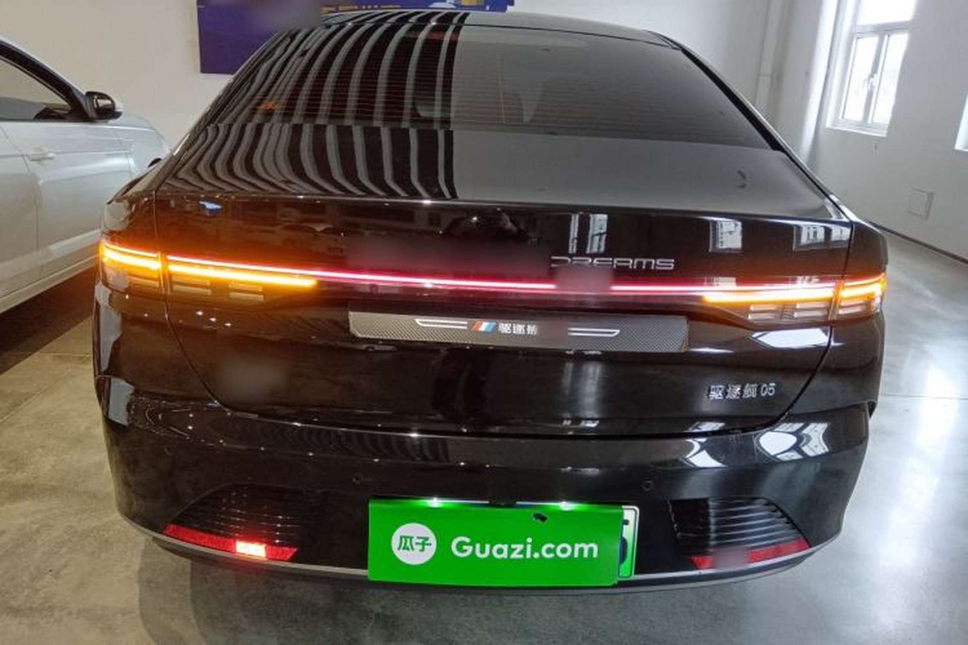 Used BYD Destroyer 05 2024 Honor Edition DM-i 120KM Luxury Model Rear