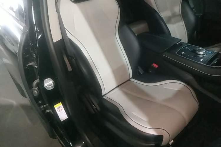 Used BYD Destroyer 05 2024 HONOR Edition DM-i 55KM Luxury Model Right Front Seat
