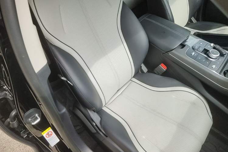 Used BYD Destroyer 05 2024 HONOR Edition DM-i 55KM Luxury Model Right Front Seat