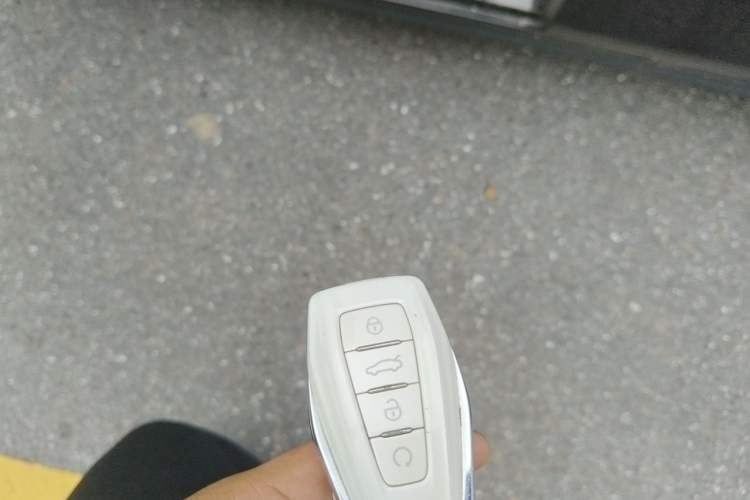 Used BYD Destroyer 05 2024 HONOR Edition DM-i 55KM Luxury Model Vehicle Key