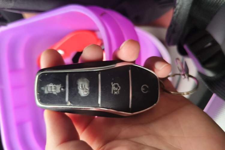 Used BYD Destroyer 05 2024 HONOR Edition DM-i 55KM Luxury Model Vehicle Key