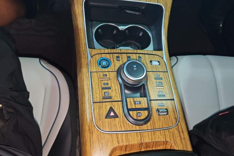 Used BYD Destroyer 05 2024 HONOR Edition DM-i 55KM Luxury Model Gear Lever