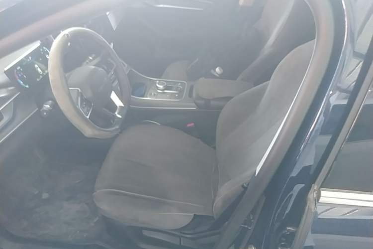 Used BYD Destroyer 05 2024 HONOR Edition DM-i 55KM Luxury Model Left Front Seat