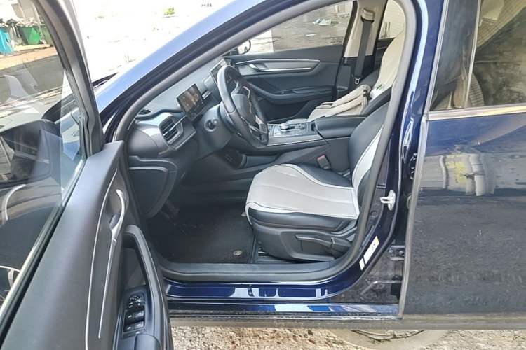 Used BYD Destroyer 05 2024 HONOR Edition DM-i 55KM Luxury Model Left Front Seat