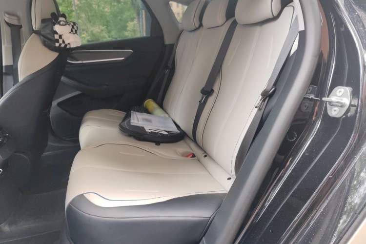 Used BYD Destroyer 05 2024 Honor Edition DM-i 120KM Luxury Model Left Rear Seat