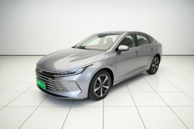 BYD Destroyer 05 2024 Honor Edition DM-i 120KM Luxury Model usado