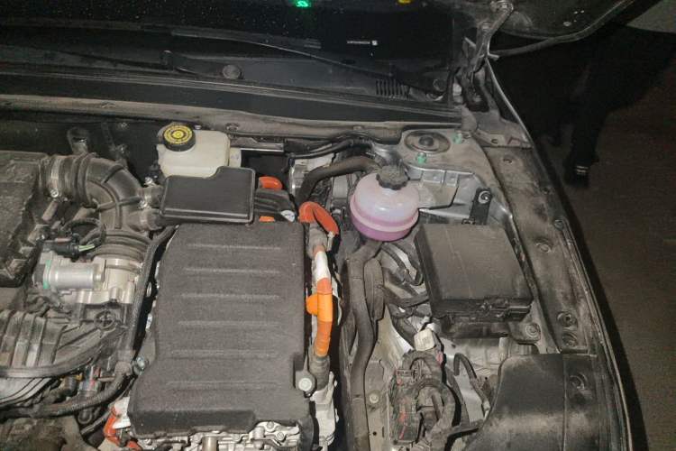 Used BYD Destroyer 05 2024 HONOR Edition DM-i 55KM Luxury Model Engine Bay Left