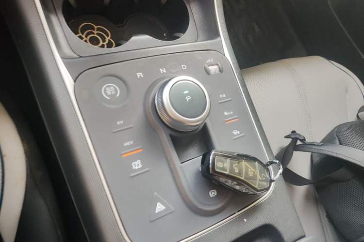 Used BYD Destroyer 05 2024 HONOR Edition DM-i 55KM Luxury Model Gear Lever