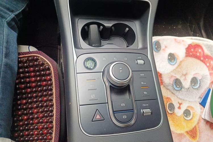 Used BYD Destroyer 05 2024 HONOR Edition DM-i 55KM Luxury Model Gear Lever