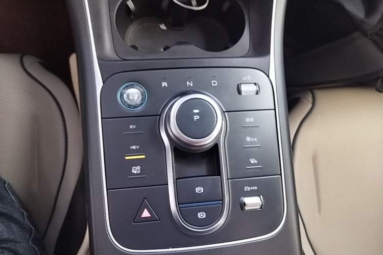 Used BYD Destroyer 05 2024 HONOR Edition DM-i 55KM Luxury Model Gear Lever