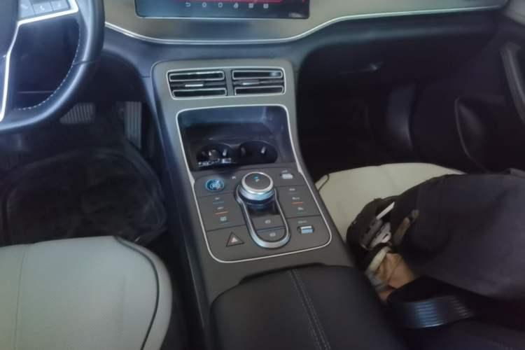 Used BYD Destroyer 05 2024 HONOR Edition DM-i 55KM Luxury Model Gear Lever