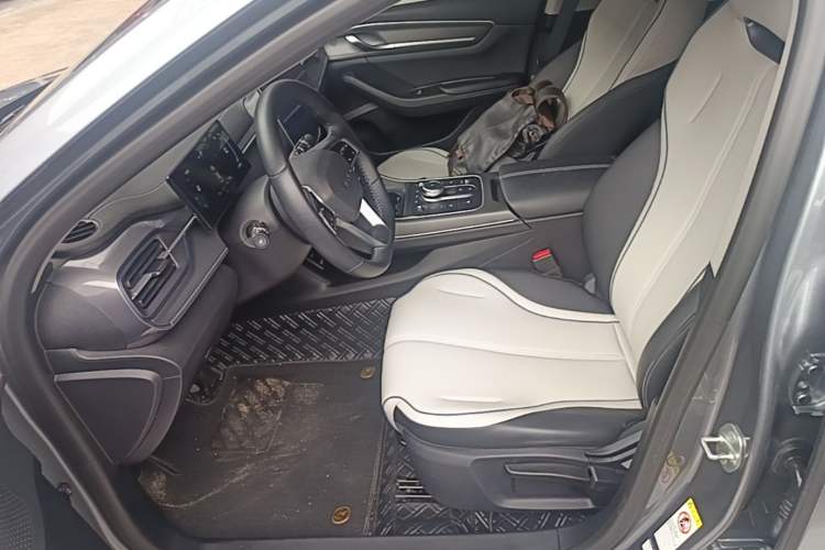 Used BYD Destroyer 05 2024 Honor Edition DM-i 120KM Luxury Model Left Front Seat
