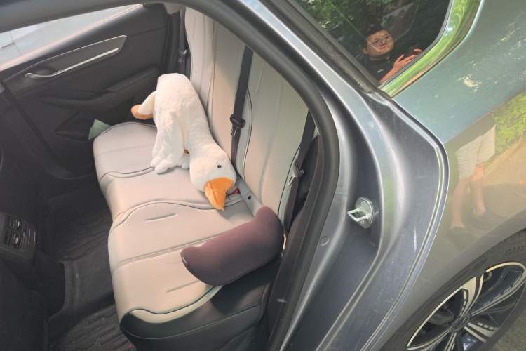 Used BYD Destroyer 05 2024 Honor Edition DM-i 120KM Luxury Model Left Rear Seat