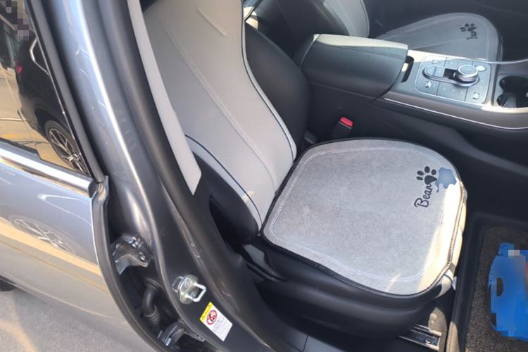 Used BYD Destroyer 05 2024 HONOR Edition DM-i 55KM Luxury Model Right Front Seat