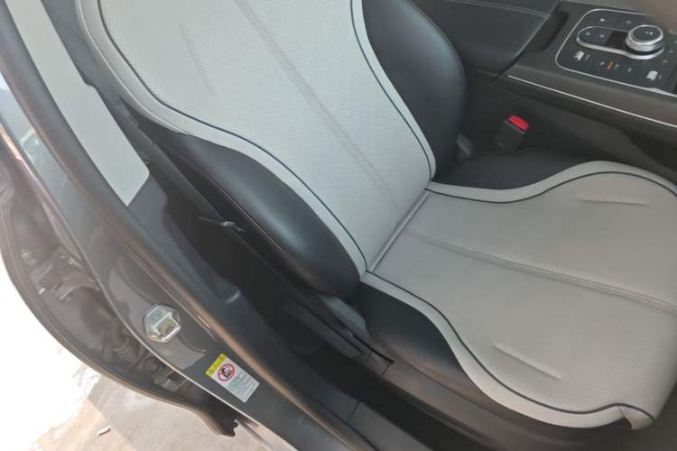 Used BYD Destroyer 05 2024 HONOR Edition DM-i 55KM Luxury Model Right Front Seat