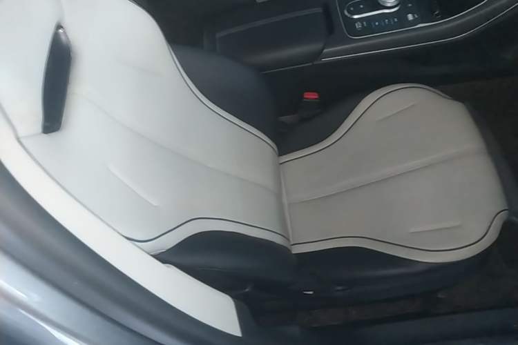 Used BYD Destroyer 05 2024 HONOR Edition DM-i 55KM Luxury Model Right Front Seat