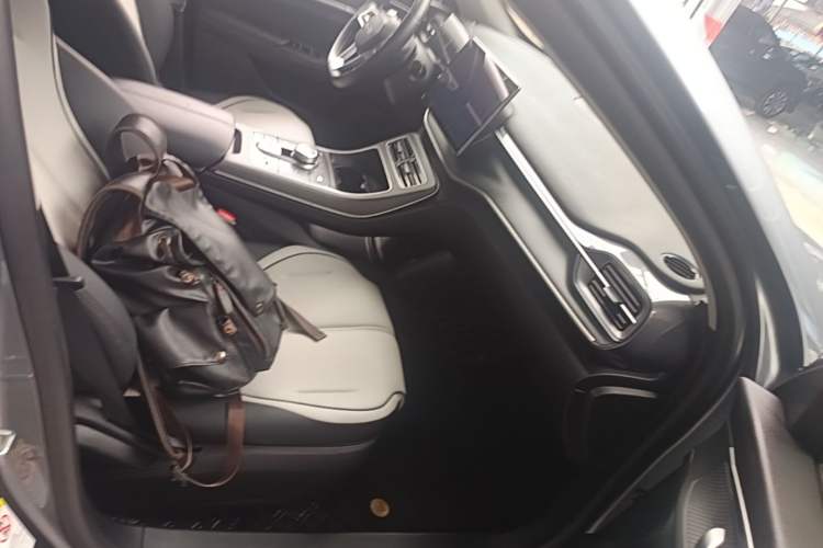 Used BYD Destroyer 05 2024 Honor Edition DM-i 120KM Luxury Model Right Front Seat