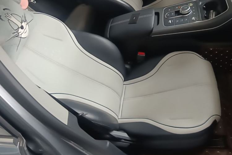 Used BYD Destroyer 05 2024 HONOR Edition DM-i 55KM Luxury Model Right Front Seat