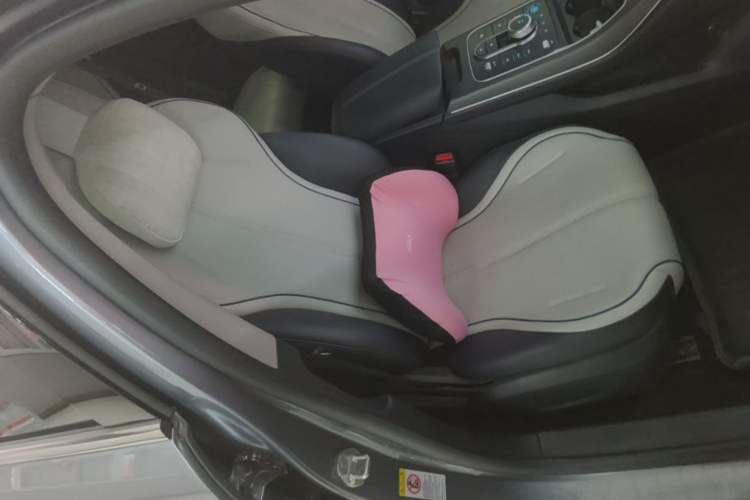 Used BYD Destroyer 05 2024 HONOR Edition DM-i 55KM Luxury Model Right Front Seat