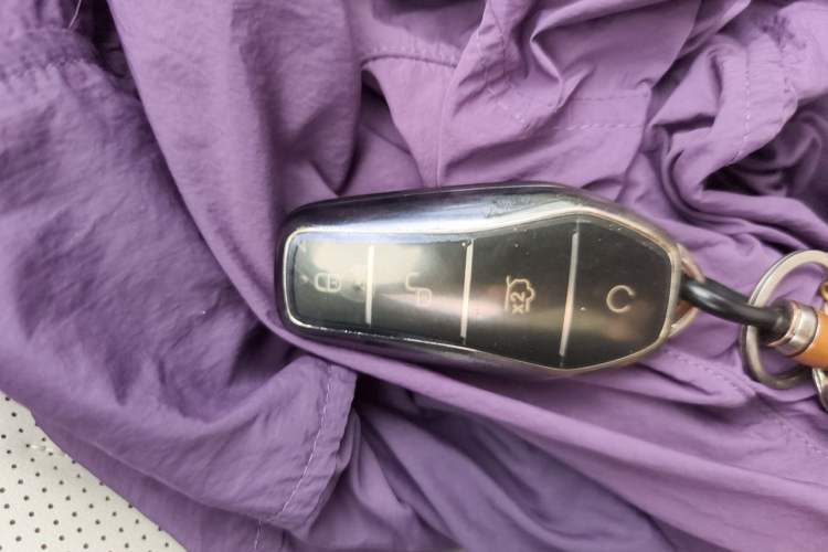 Used BYD Destroyer 05 2024 HONOR Edition DM-i 55KM Luxury Model Vehicle Key