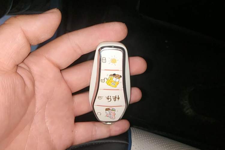 Used BYD Destroyer 05 2024 Honor Edition DM-i 120KM Luxury Model Vehicle Key