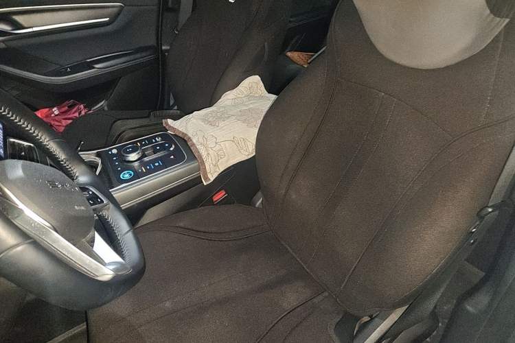 Used BYD Destroyer 05 2024 Honor Edition DM-i 120KM Luxury Model Left Front Seat