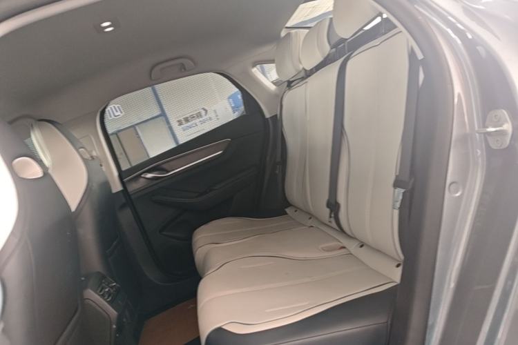 Used BYD Destroyer 05 2024 HONOR Edition DM-i 55KM Luxury Model Left Rear Seat