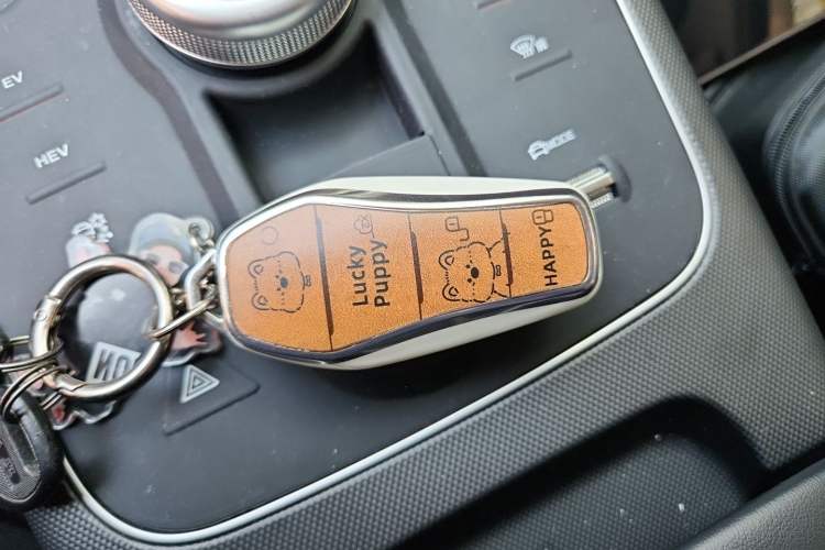 Used BYD Destroyer 05 2024 HONOR Edition DM-i 55KM Luxury Model Vehicle Key