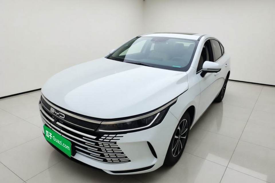 BYD Destroyer 05 2024