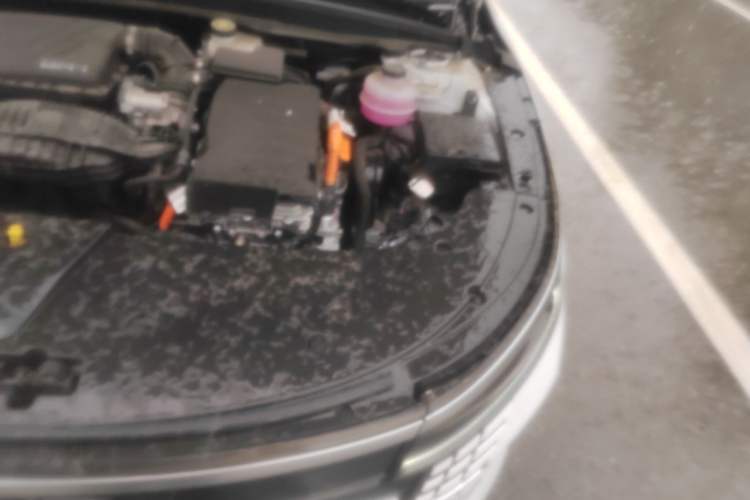 Used BYD Destroyer 05 2024 HONOR Edition DM-i 55KM Luxury Model Engine Bay Left