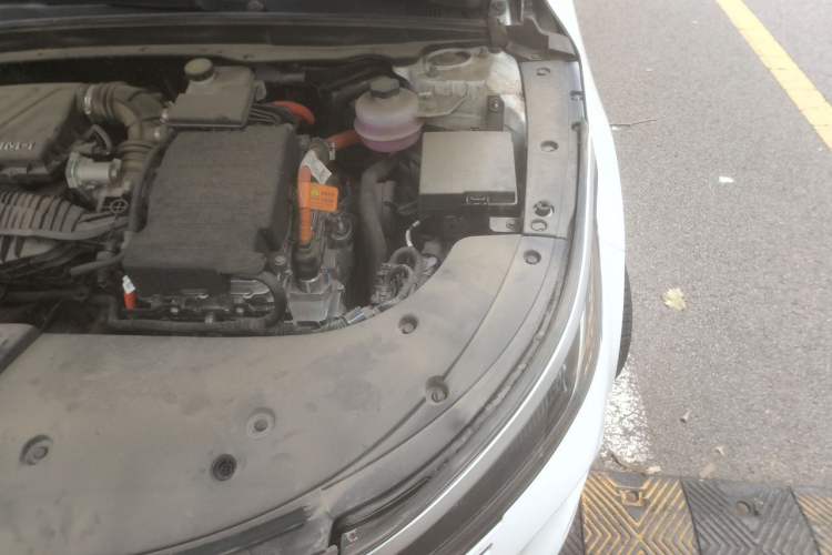 Used BYD Destroyer 05 2024 HONOR Edition DM-i 55KM Luxury Model Engine Bay Left