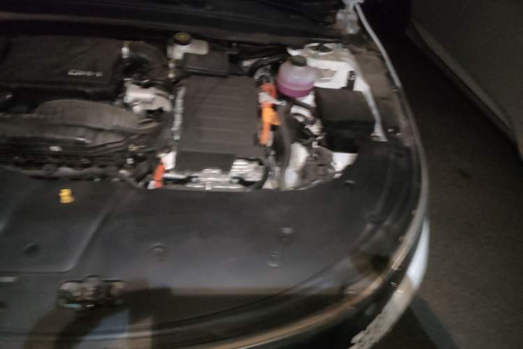 Used BYD Destroyer 05 2024 HONOR Edition DM-i 55KM Luxury Model Engine Bay Left