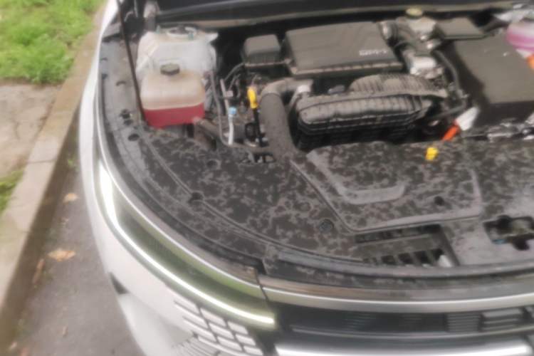 Used BYD Destroyer 05 2024 HONOR Edition DM-i 55KM Luxury Model Engine Bay Right