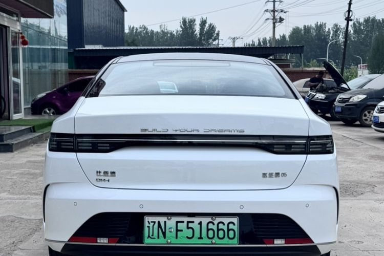 Used BYD Destroyer 05 2024 HONOR Edition DM-i 55KM Luxury Model Exterior 2