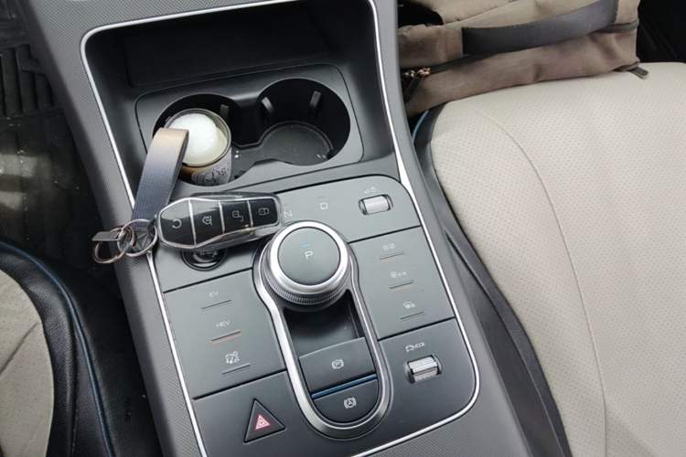 Used BYD Destroyer 05 2024 HONOR Edition DM-i 55KM Luxury Model Gear Lever