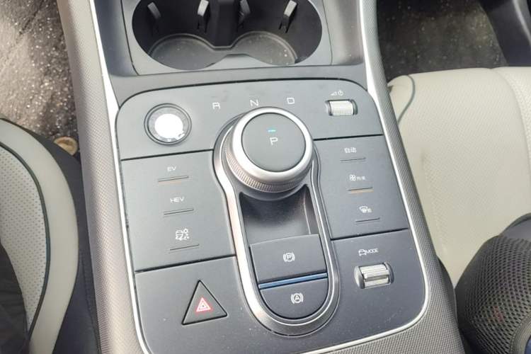 Used BYD Destroyer 05 2024 HONOR Edition DM-i 55KM Luxury Model Gear Lever