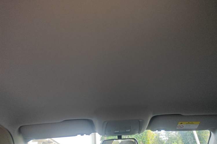 Used BYD Destroyer 05 2024 DM-i 55KM Flagship Glory Edition Headliner