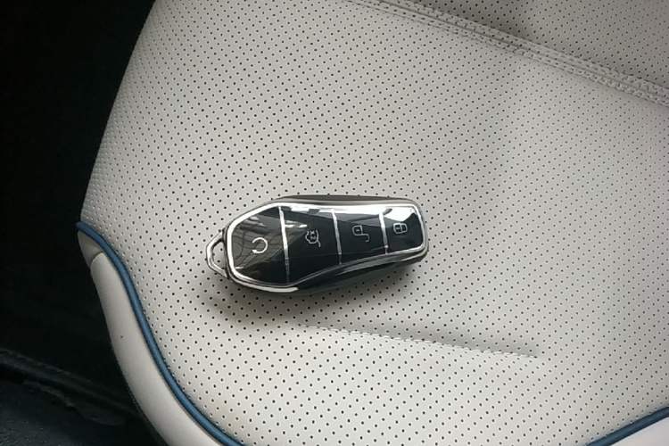 Used BYD Destroyer 05 2024 HONOR Edition DM-i 55KM Luxury Model Interior 1