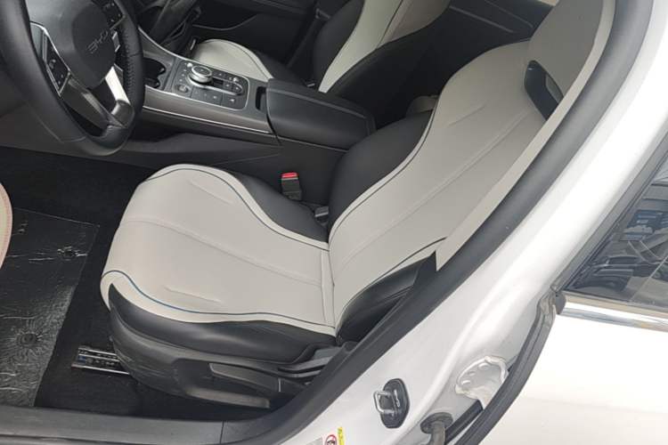 Used BYD Destroyer 05 2024 HONOR Edition DM-i 55KM Luxury Model Left Front Seat