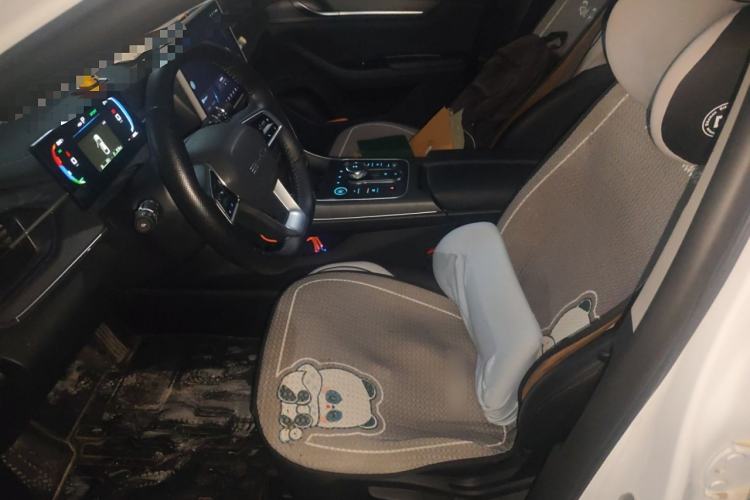 Used BYD Destroyer 05 2024 HONOR Edition DM-i 55KM Luxury Model Left Front Seat