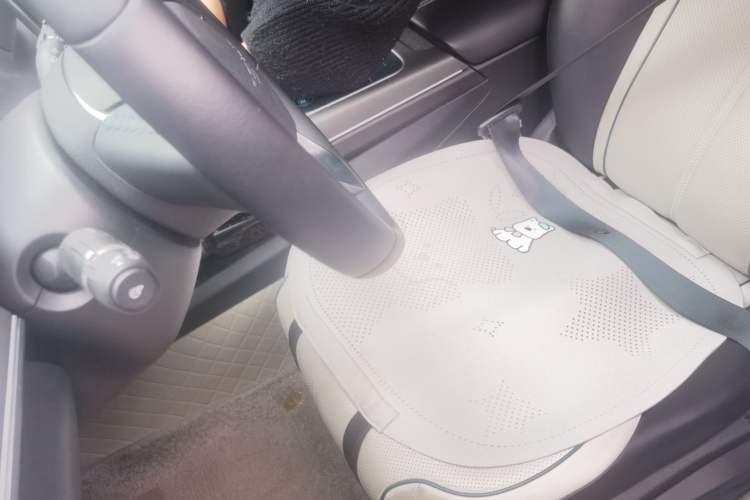 Used BYD Destroyer 05 2024 HONOR Edition DM-i 55KM Luxury Model Left Front Seat