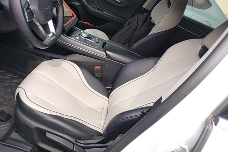 Used BYD Destroyer 05 2024 HONOR Edition DM-i 55KM Luxury Model Left Front Seat