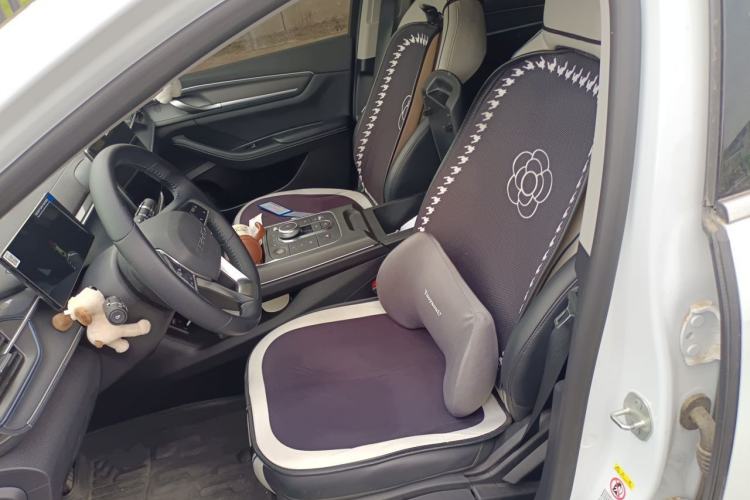 Used BYD Destroyer 05 2024 HONOR Edition DM-i 55KM Luxury Model Left Front Seat