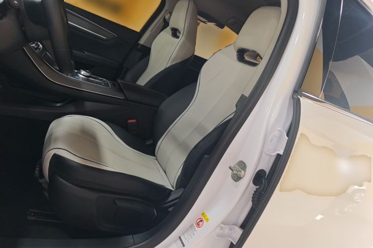 Used BYD Destroyer 05 2024 HONOR Edition DM-i 55KM Luxury Model Left Front Seat