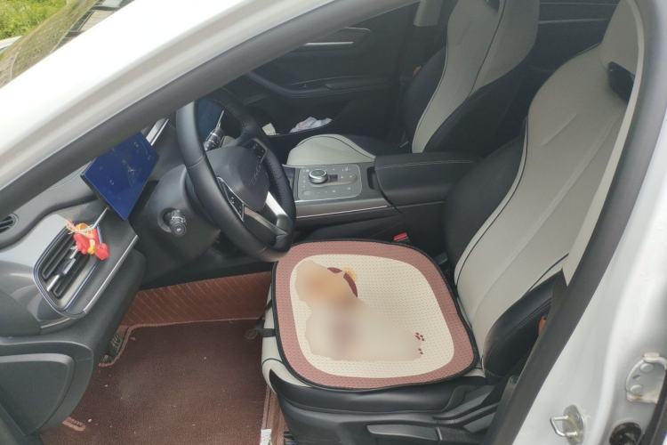 Used BYD Destroyer 05 2024 HONOR Edition DM-i 55KM Luxury Model Left Front Seat