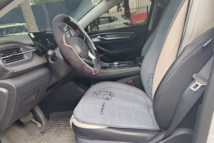 Used BYD Destroyer 05 2024 HONOR Edition DM-i 55KM Prestige Model Left Front Seat
