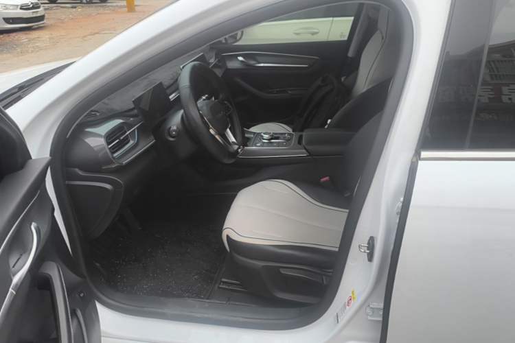 Used BYD Destroyer 05 2024 HONOR Edition DM-i 55KM Luxury Model Left Front Seat