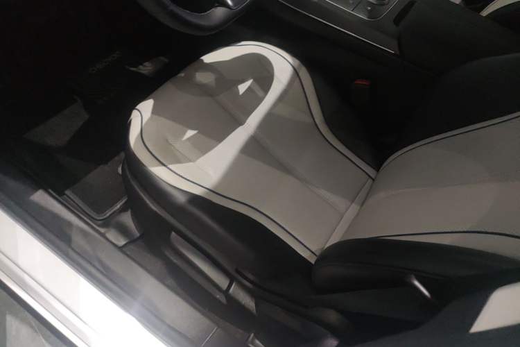 Used BYD Destroyer 05 2024 HONOR Edition DM-i 55KM Luxury Model Left Front Seat