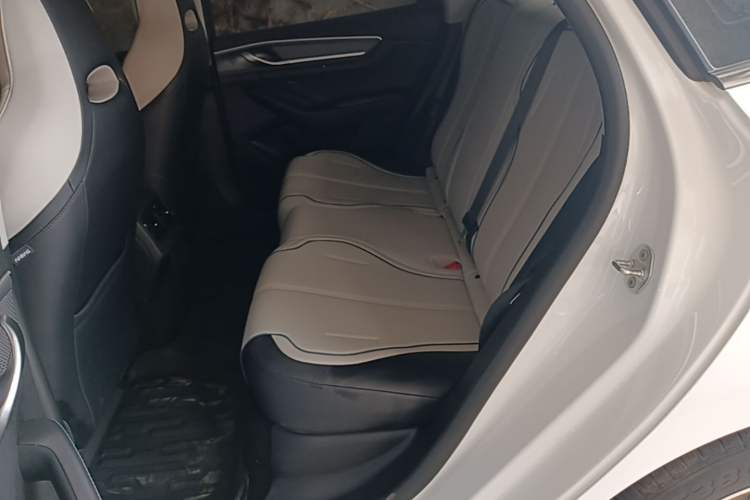 Used BYD Destroyer 05 2024 HONOR Edition DM-i 55KM Luxury Model Left Rear Seat